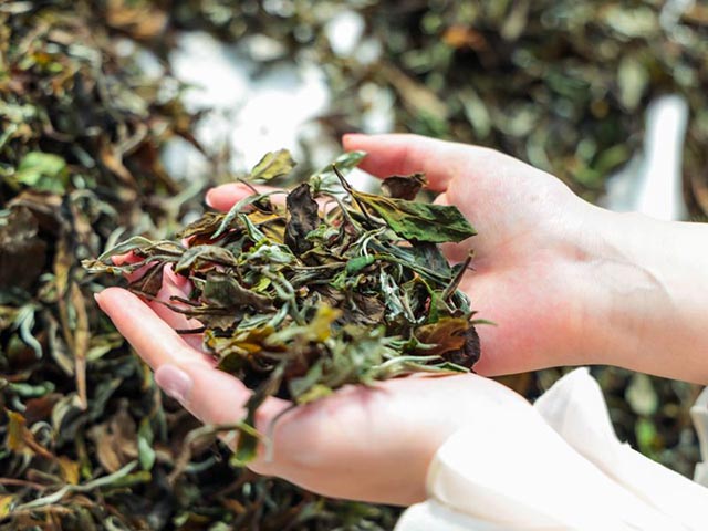 六大茶类茶叶的功效
