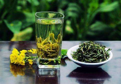喝茶的好处和坏处，喝茶的注意事项与禁忌