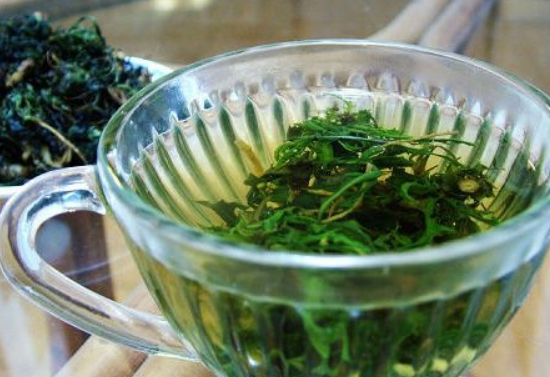 如何挑选苦菜茶