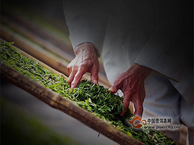浮梁工夫茶的历史