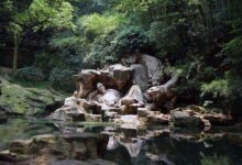 杭州虎跑泉的传说(浙江杭州的虎跑泉属于)-茗扬网