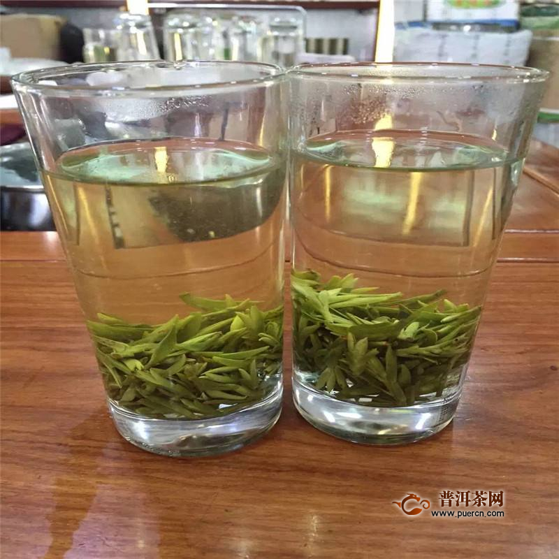 安吉白片的历史发展