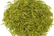 安吉白茶价格多少钱 怎么挑选-茗扬网