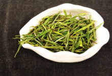 安吉白茶冲泡的正确步骤 什么人不能喝-茗扬网