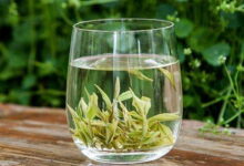 安吉白茶哪个牌子好 怎么保存-茗扬网