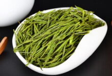 安吉白茶的功效与作用 保质期有多久-茗扬网