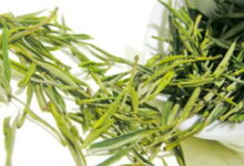 安吉白茶到底是不是白茶 是绿茶吗-茗扬网