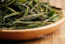 茶叶安吉白茶的作用与禁忌-茗扬网