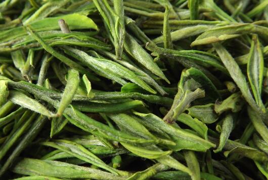 天目湖白茶与安吉白茶的区别