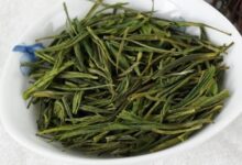 安吉白茶的功效与禁忌事项-茗扬网