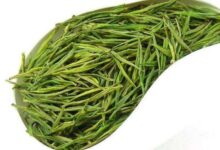 喝安吉白茶有什么好处，盘点安吉白茶的七大功效-茗扬网