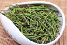 浙江安吉白茶属于什么茶类-茗扬网