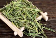 安吉白茶是什么茶叶-茗扬网