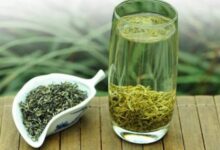 台湾碧螺春和洞庭碧螺春的区别-茗扬网