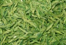 西湖龙井的功效与禁忌事项-茗扬网