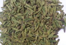 狮峰龙井产地是哪 和西湖龙井哪个好-茗扬网