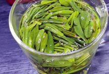 六安瓜片的品质特征以及功效与作用-茗扬网