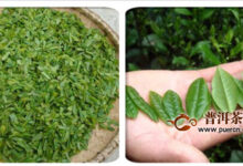 六安瓜片加工工序-茗扬网