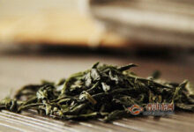 怎样冲泡六安瓜片茶-茗扬网