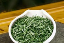 喝信阳毛尖茶对身体有什么好处-茗扬网