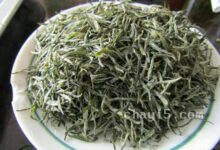 信阳毛尖属于什么茶，信阳毛尖是绿茶吗？-茗扬网