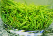 信阳毛尖怎么辨别好坏 产地在哪里-茗扬网