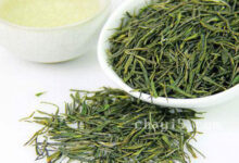 信阳毛尖的功效与作用 信阳毛尖的泡法-茗扬网