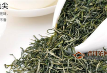 信阳毛尖和黄山毛峰的功效与作用-茗扬网