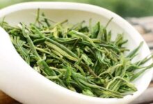 喝黄山毛峰茶对身体有什么好处-茗扬网