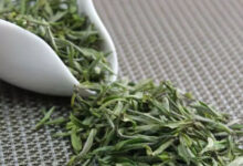 黄山毛峰怎么保存？两种黄山毛峰的保存方法-茗扬网