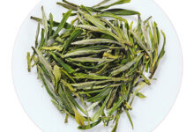 黄山毛峰:云蒸霞蔚出真品-茗扬网