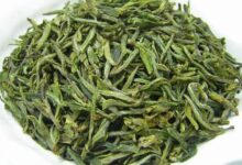 黄山毛峰的功效与禁忌事项-茗扬网