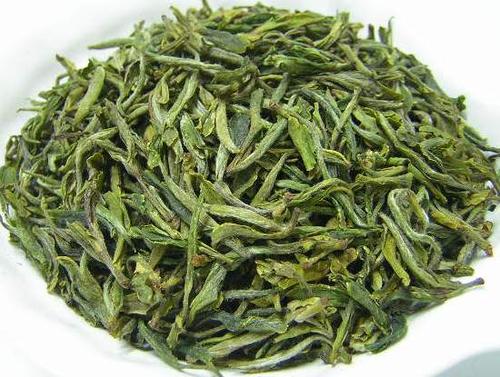 黄山毛峰的功效与禁忌事项
