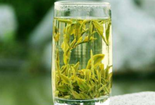 黄山毛峰怎么泡 多少钱一斤-茗扬网