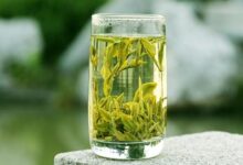 什么是黄山毛峰？黄山毛峰怎么冲泡？-茗扬网