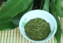 峨眉山名茶是什么茶-茗扬网