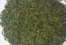 竹叶青茶的功效与作用 价格是多少-茗扬网