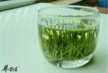 竹叶青茶有什么作用 要注意什么-茗扬网