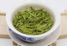 都匀毛尖的冲泡方法与注意事项-茗扬网