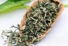 都匀毛尖的功效与作用 都匀毛尖的禁忌事项-茗扬网