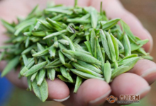 都匀毛尖好不好？都匀毛尖品质特征-茗扬网