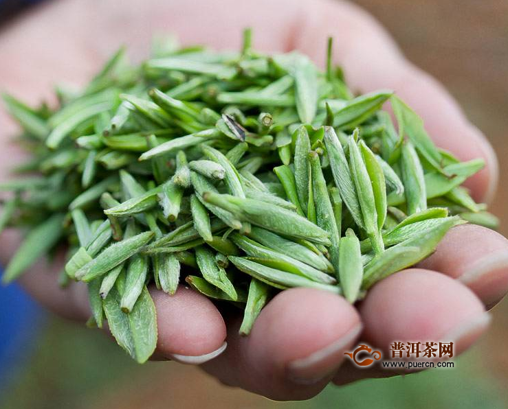 都匀毛尖好不好？都匀毛尖品质特征