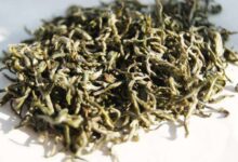 喝顶甘露茶对身体有什么好处-茗扬网