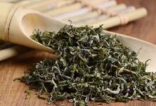 喝顶甘露茶有什么好处,盘点蒙顶甘露茶的七大功效-茗扬网