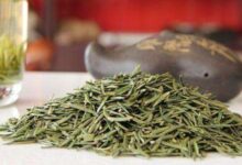 喝金坛雀舌茶对身体有什么好处-茗扬网