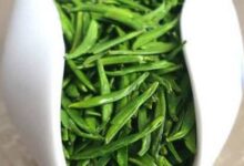 金坛雀舌的功效与禁忌事项-茗扬网