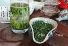 金坛雀舌的功效与作用 金坛雀舌的泡法-茗扬网