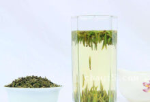 金坛雀舌的冲泡方法,7步泡出好喝的金坛雀舌-茗扬网