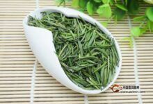 喝金坛雀舌的禁忌-茗扬网