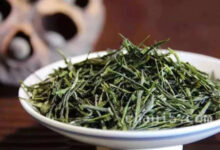 恩施玉露的冲泡方法与注意事项-茗扬网